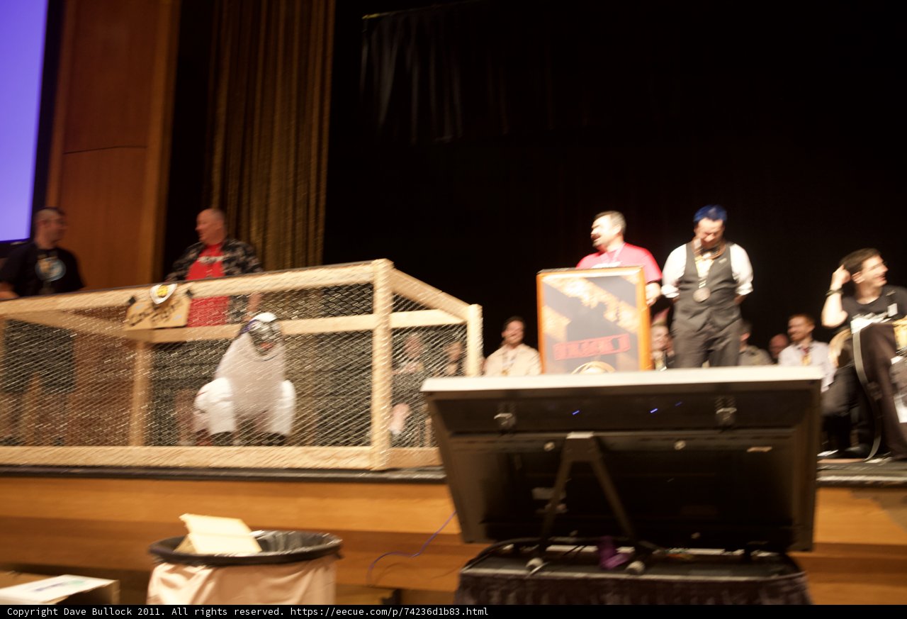 Man and Bird at the Concert