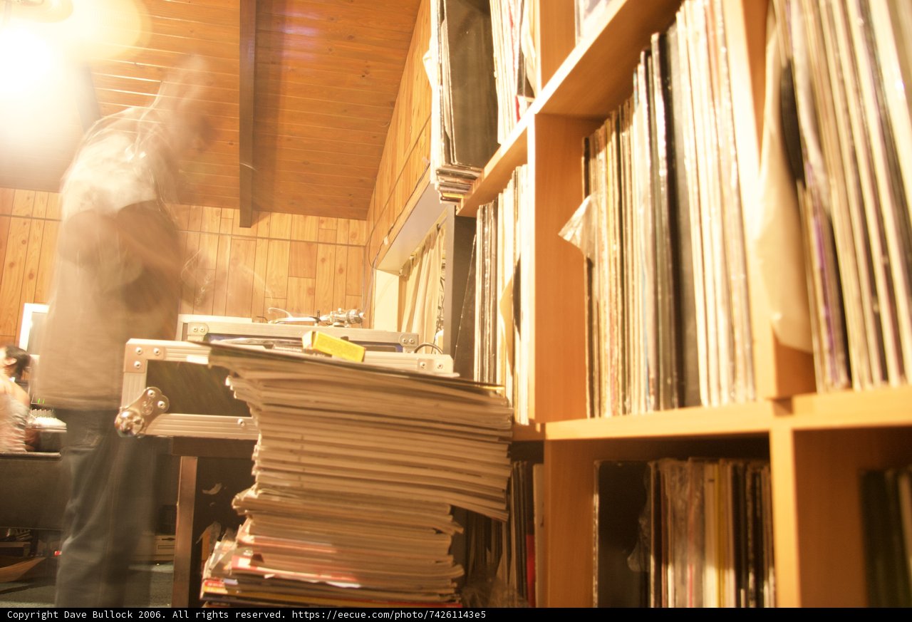The Vinyl Chronicles