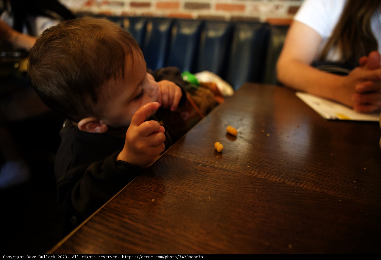 Little Foodie's Disneyland Adventure