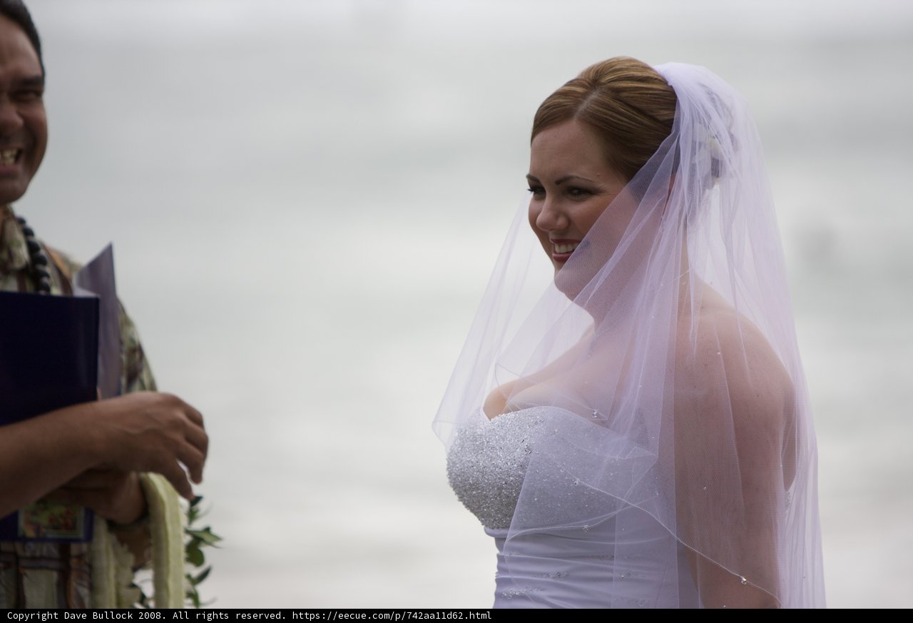 Hawaiian Wedding Bliss