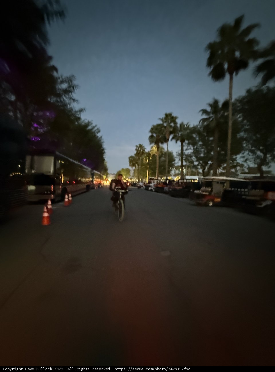 Evening Ride Through the Urban Oasis