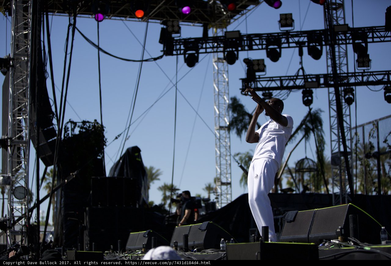Spotlight on the Solo Artist