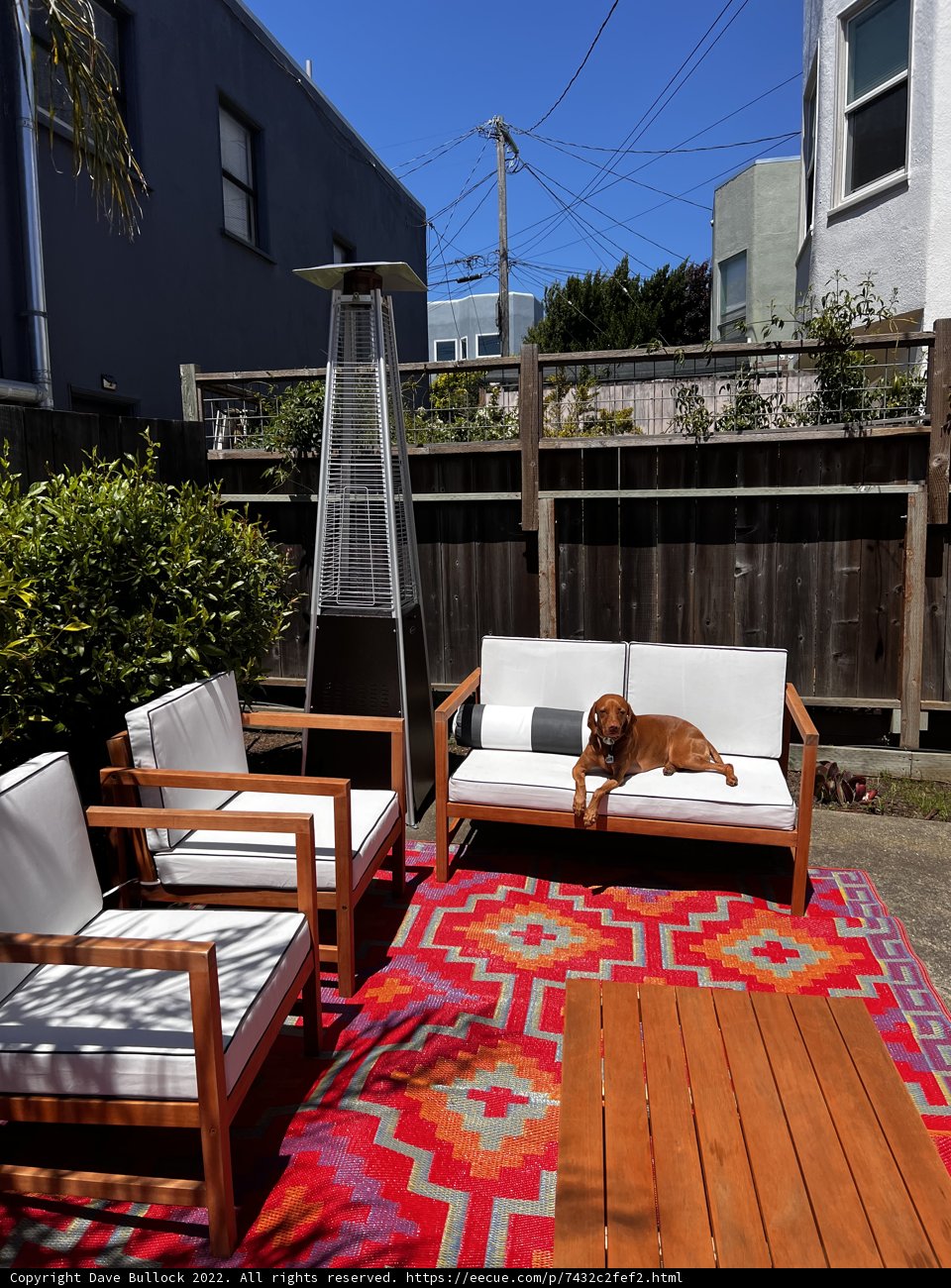 Laid Back in the Backyard