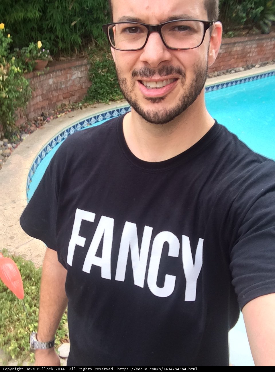 Fancy Glasses by the Pool