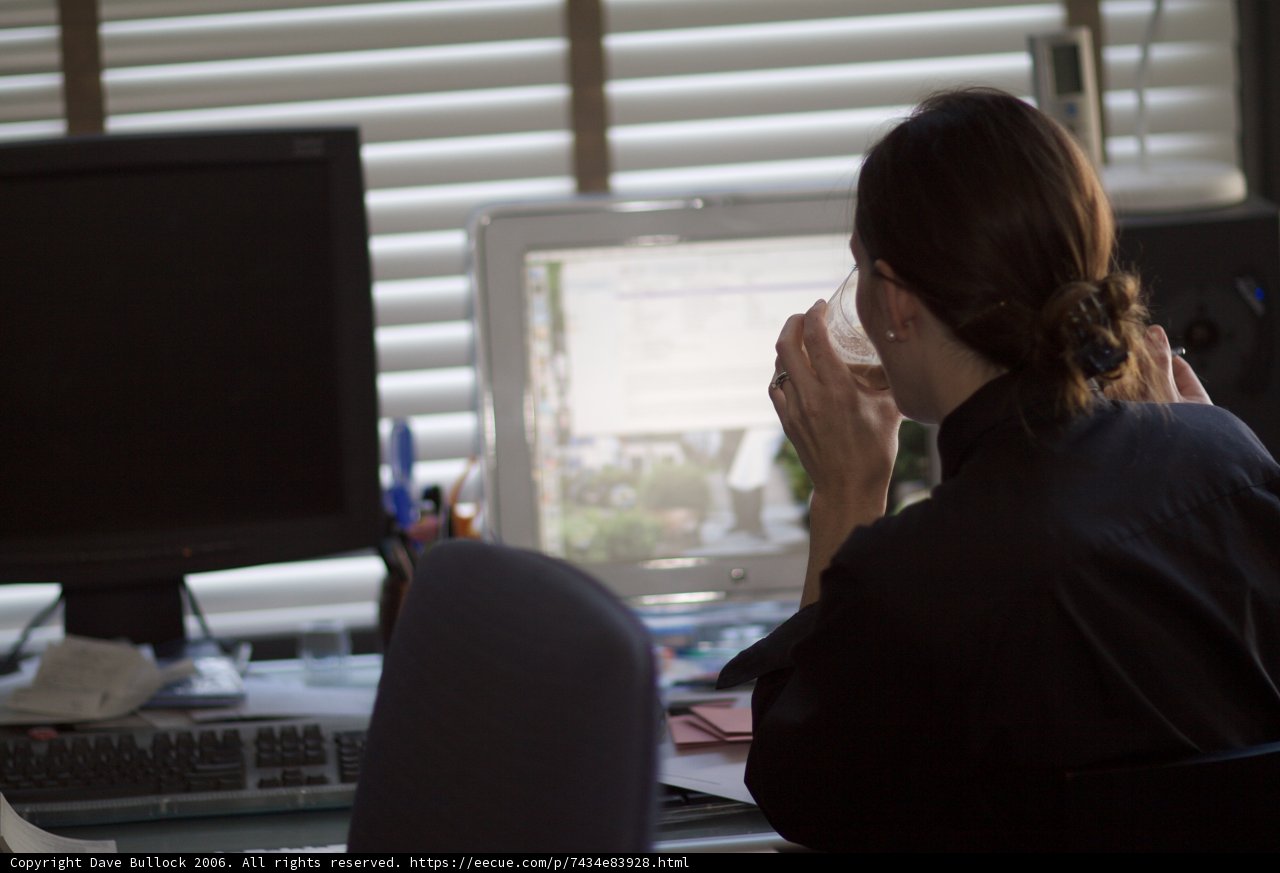 Woman at Work