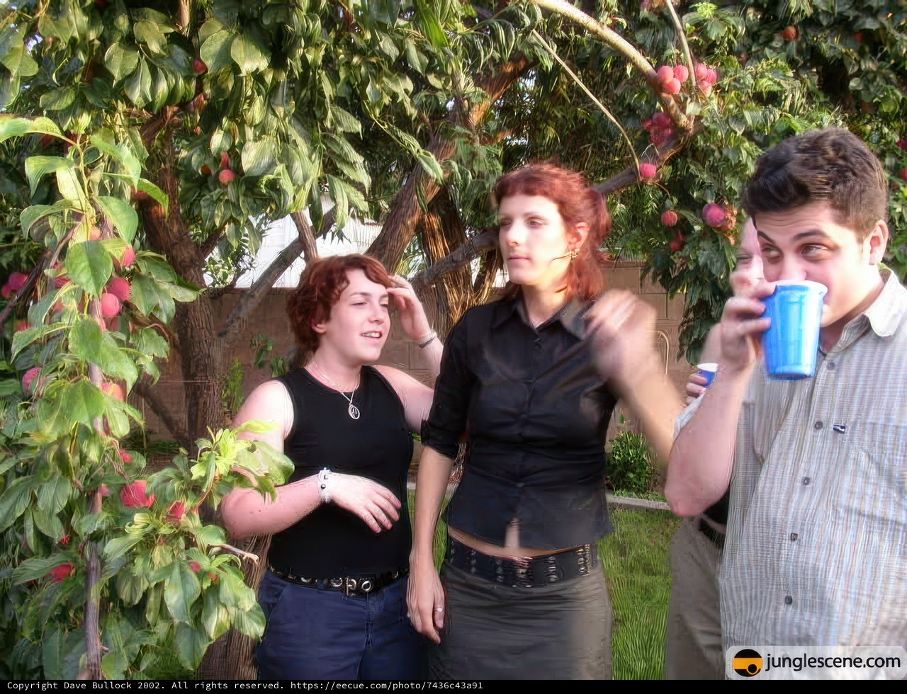 Three friends enjoying a summer afternoon in the yard