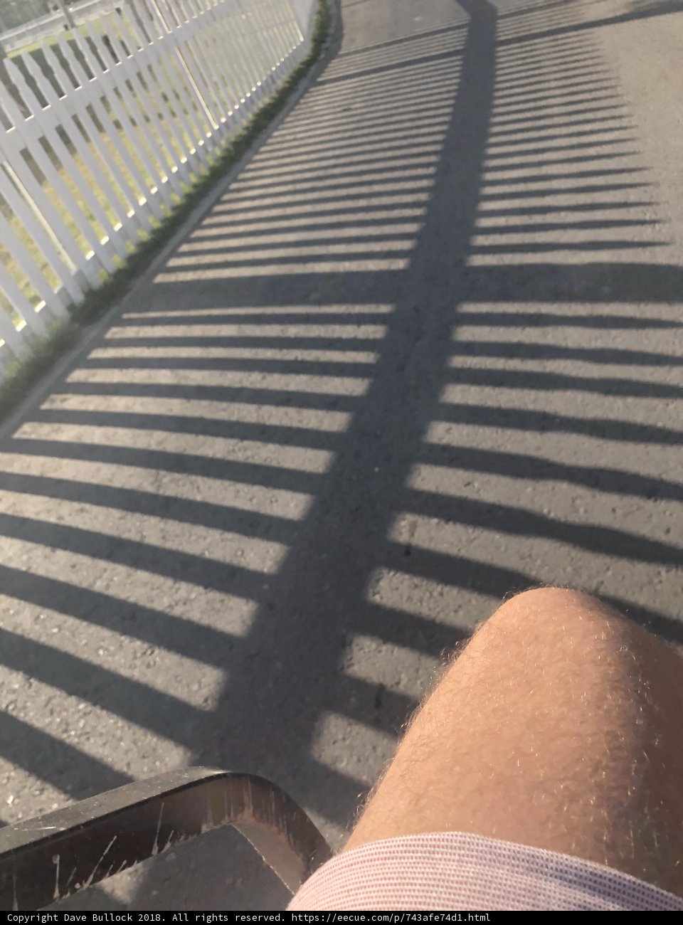 Shadow Ride