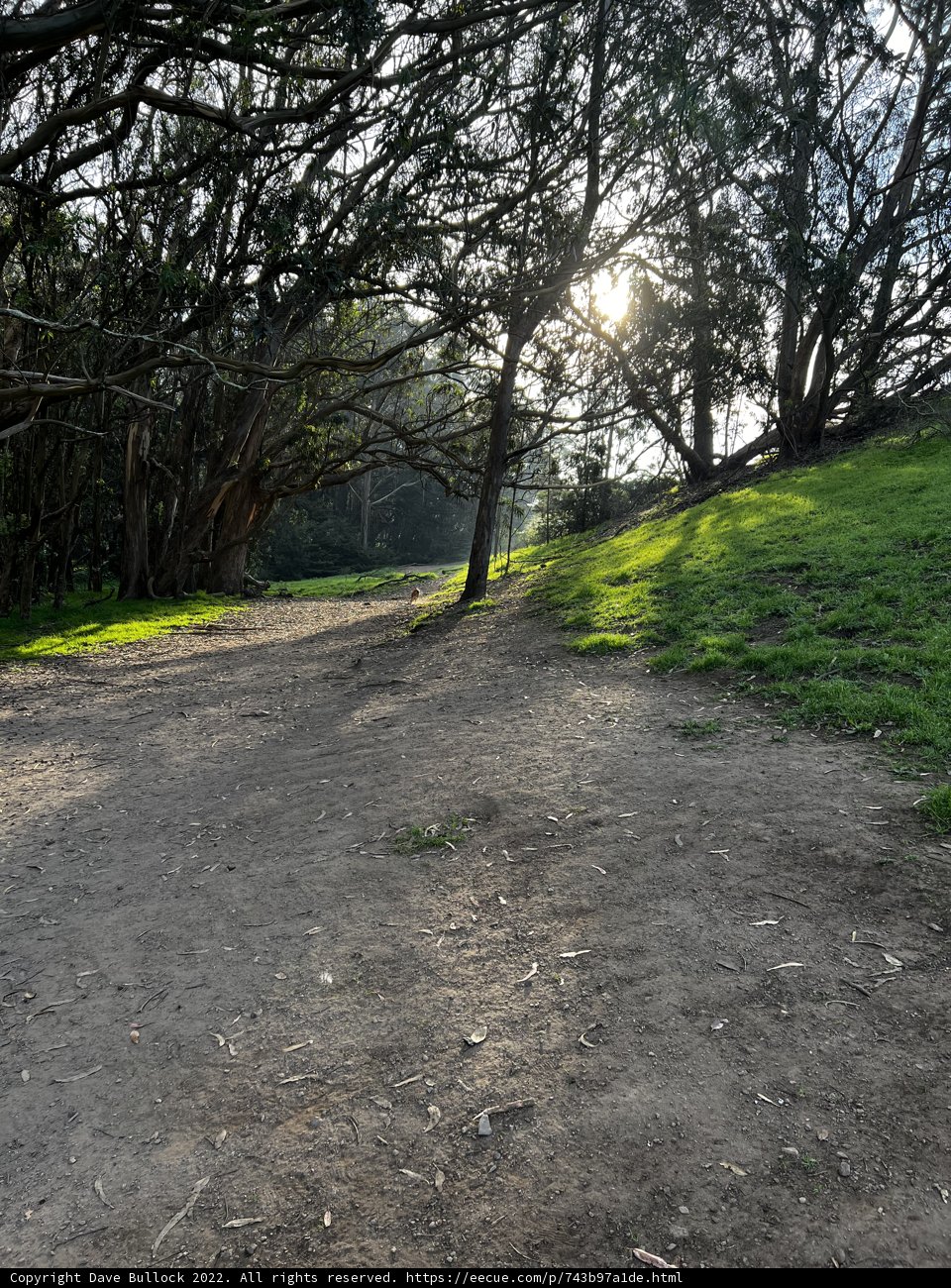 A Scenic Pathway Through McLaren Park