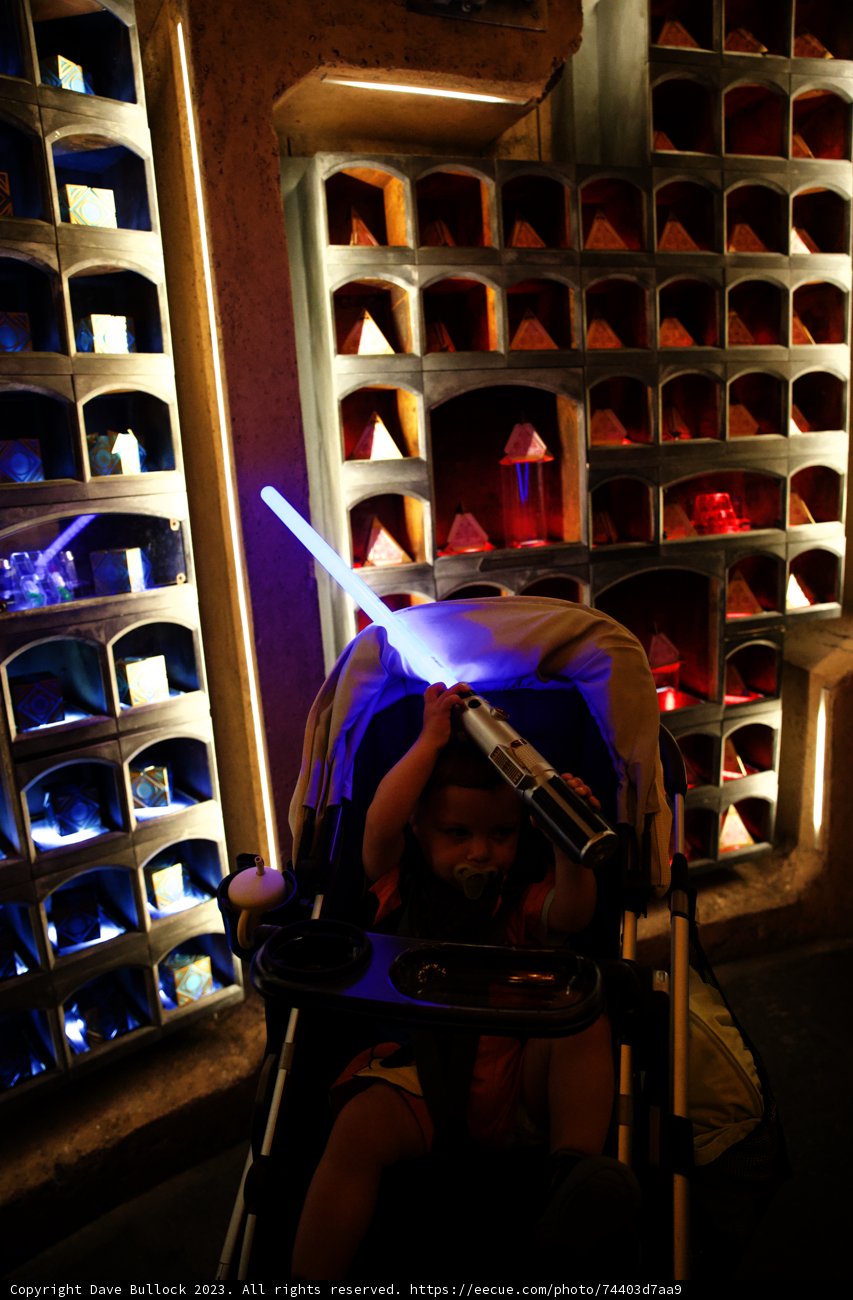 The Force Awakens: Wes' Disneyland Adventure