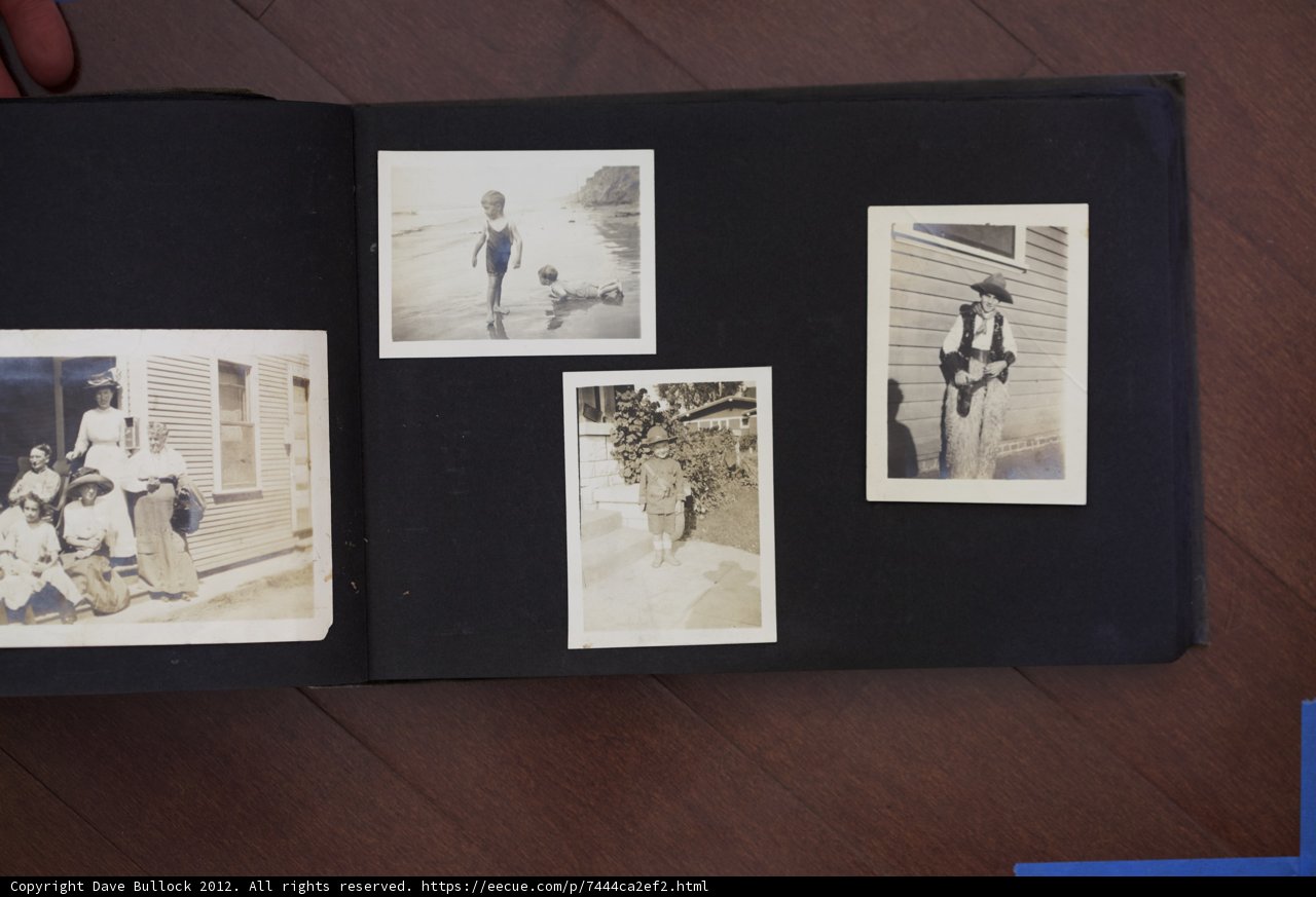 The Bullock Curtis Family Photo Album: Capturing Memorable Moments