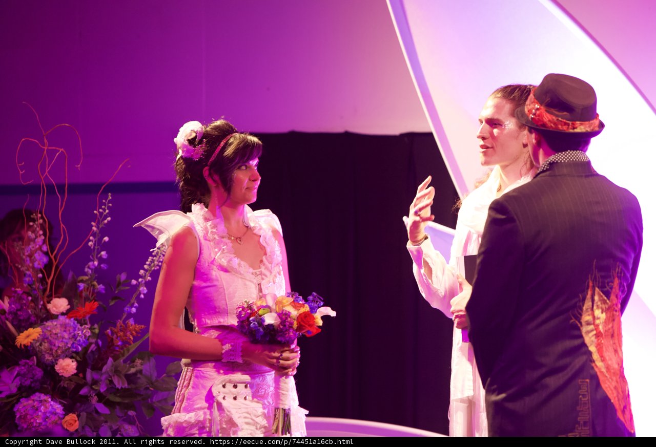 The Happy Newlyweds