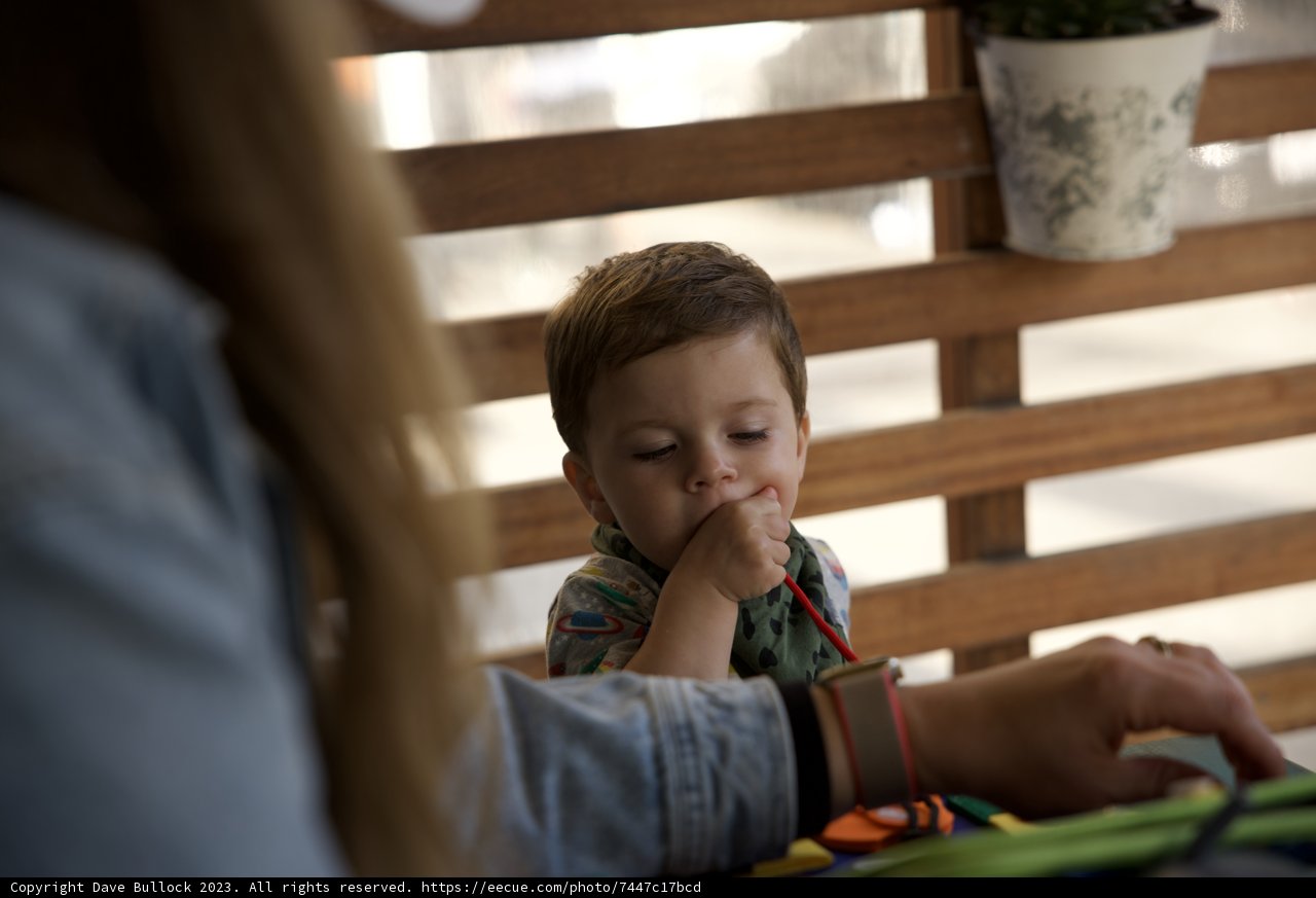 Cherished Moments at Hi-Li's 5th Birthday