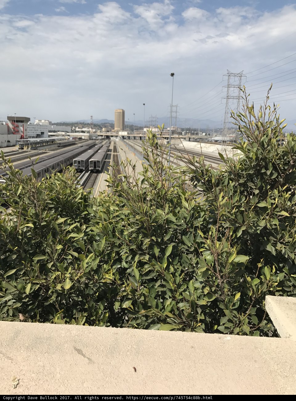 Overlooking the Train Tracks
