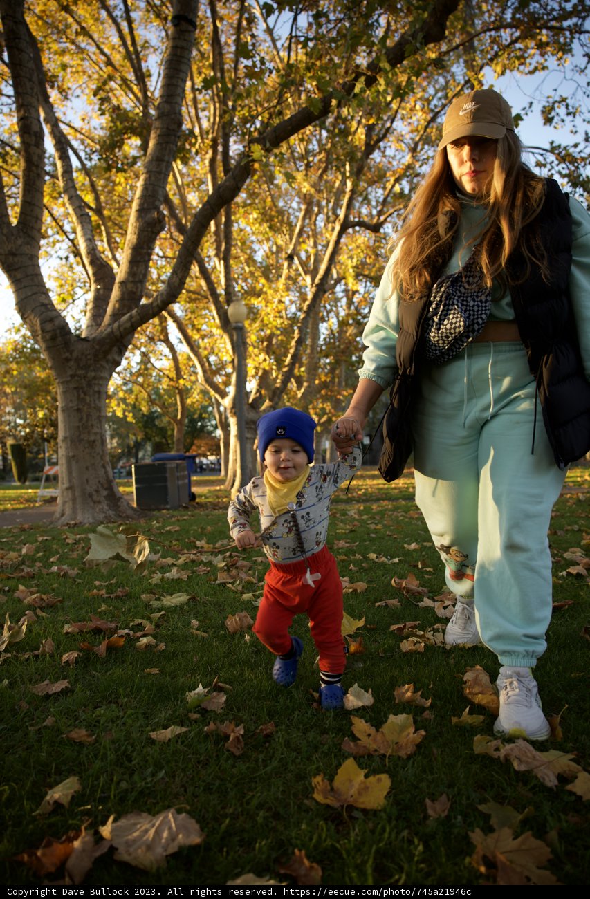 A heartwarming stroll in Downtown Sonoma