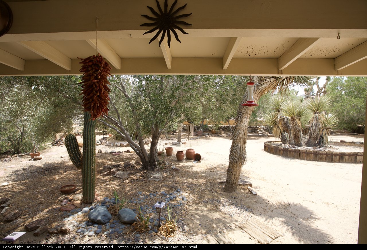 Desert Oasis