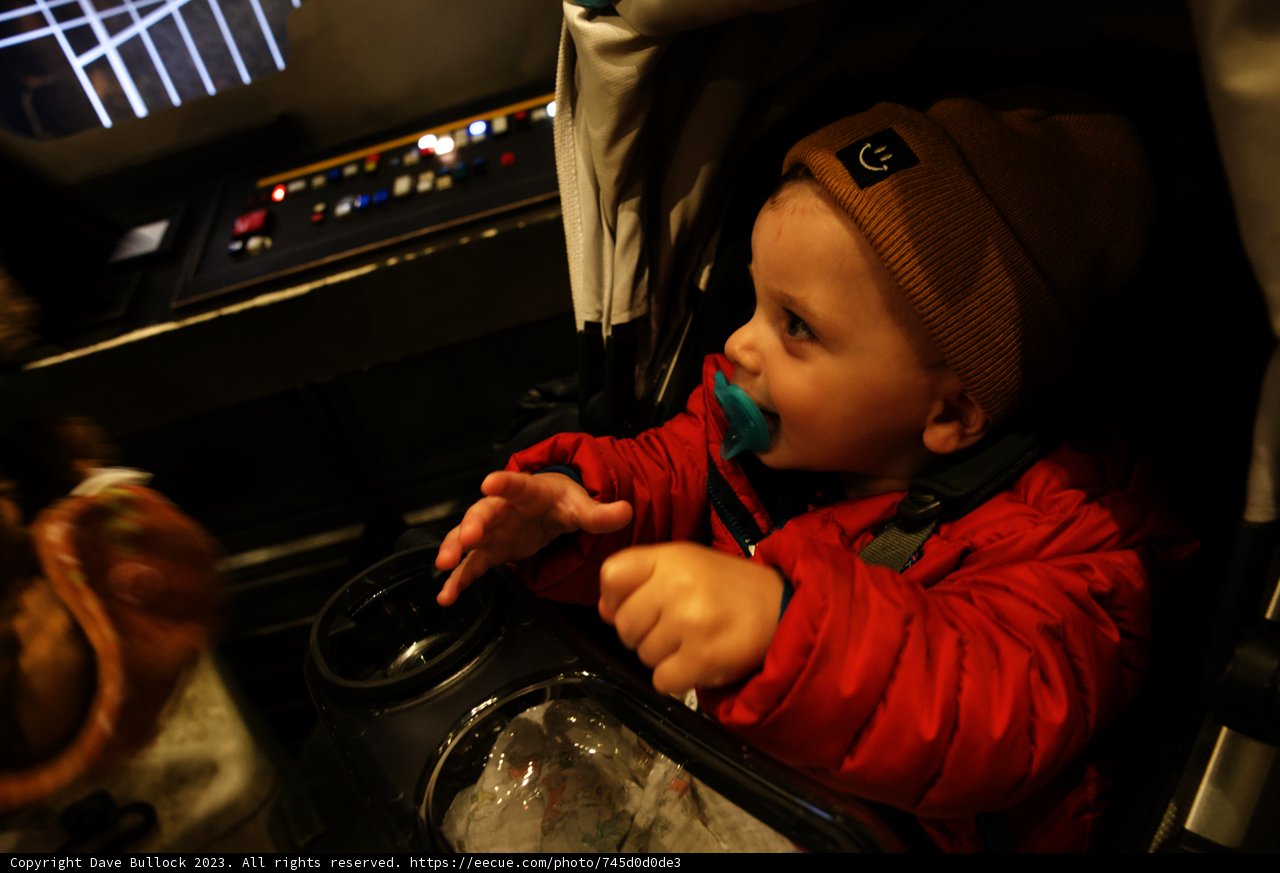 Baby's First Disneyland Adventure