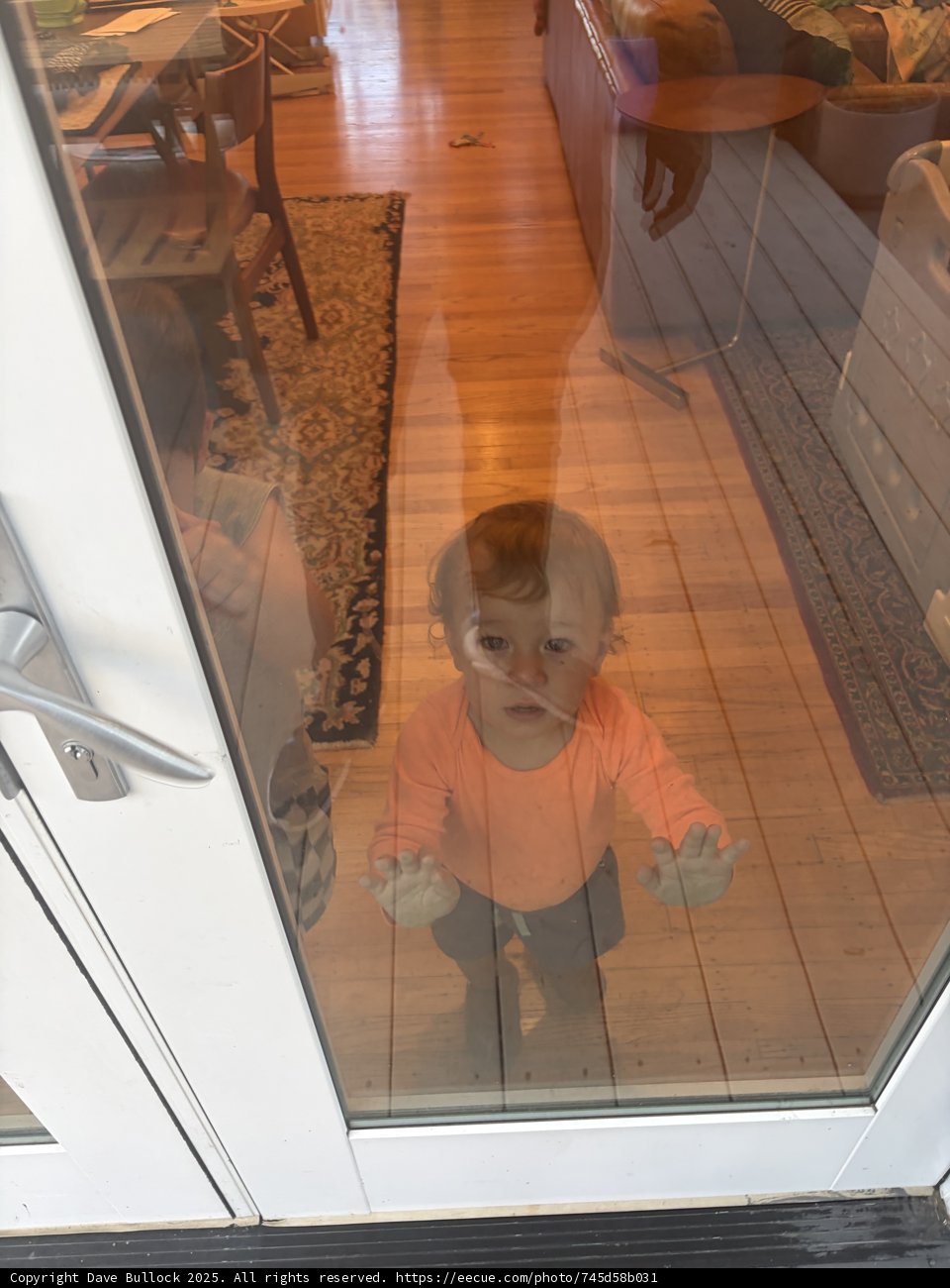 Curious Reflections
