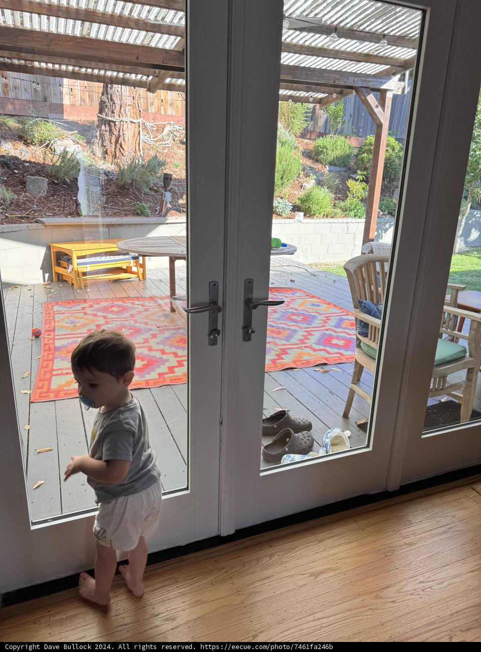 Curiosity at the Door