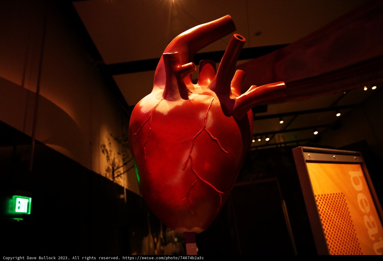 The Techno-Heart Balloon at California Academy of Sciences