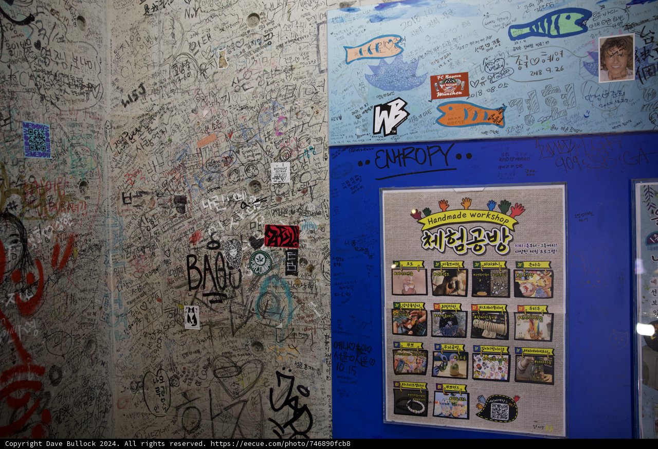 Urban Artistry: Expressions on the Streets of Korea