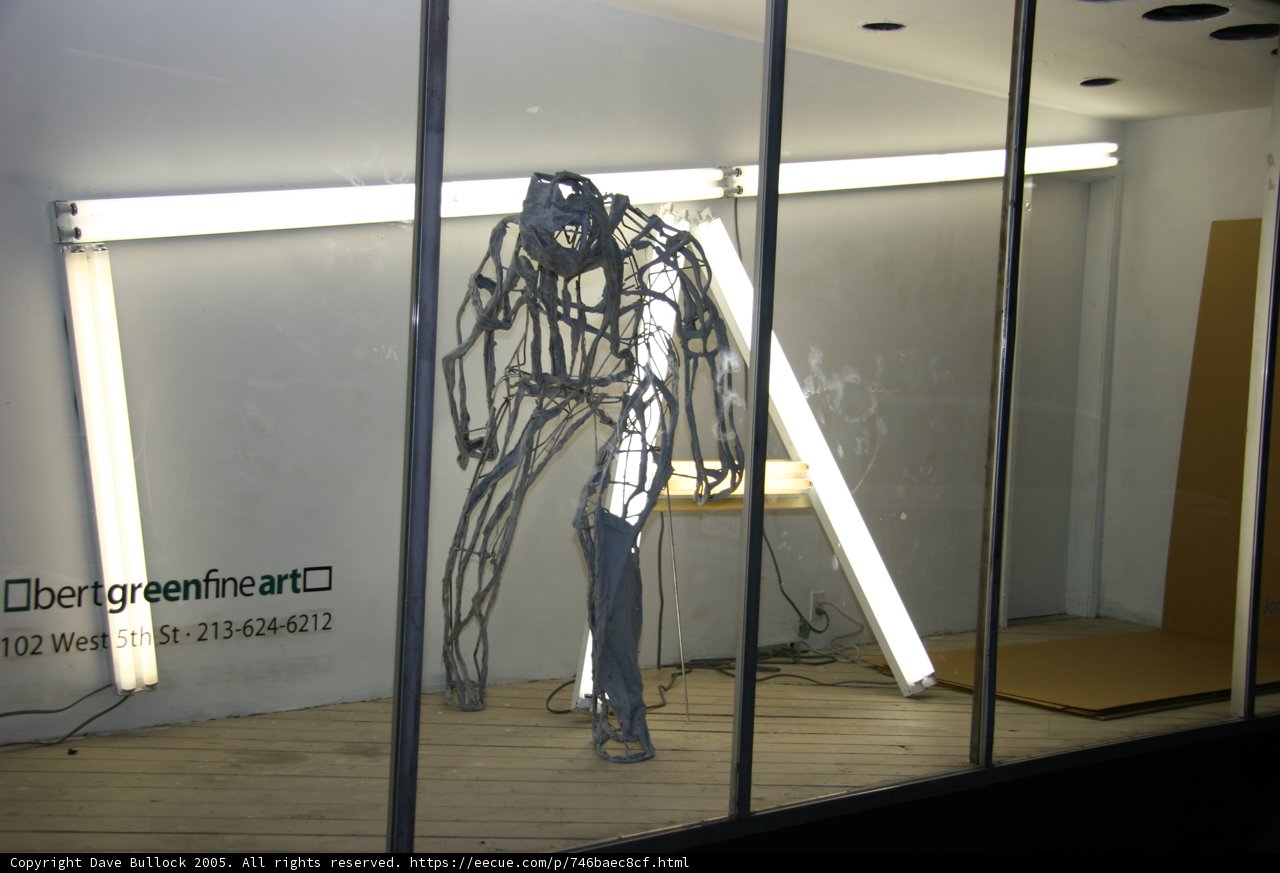 Man Standing in Front of Wood-Floored Glass Window