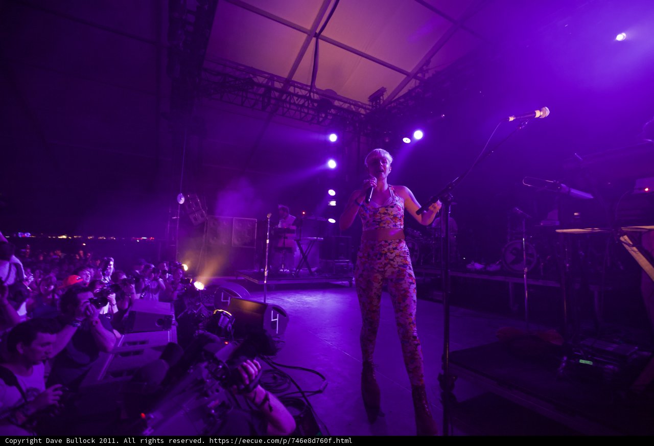 Spotlight on the Purple Queen
