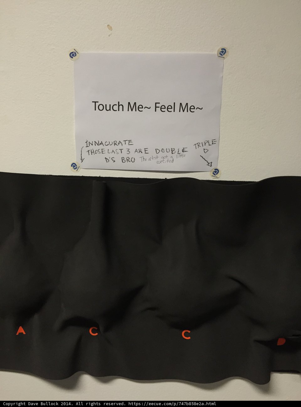 Touch Me Feel Me Art Installation