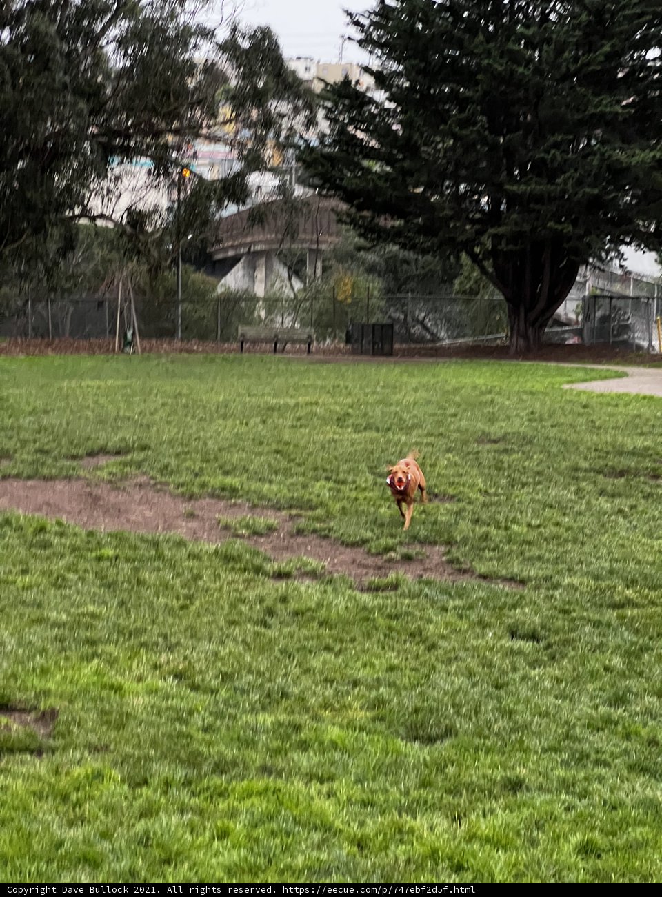 Running Free