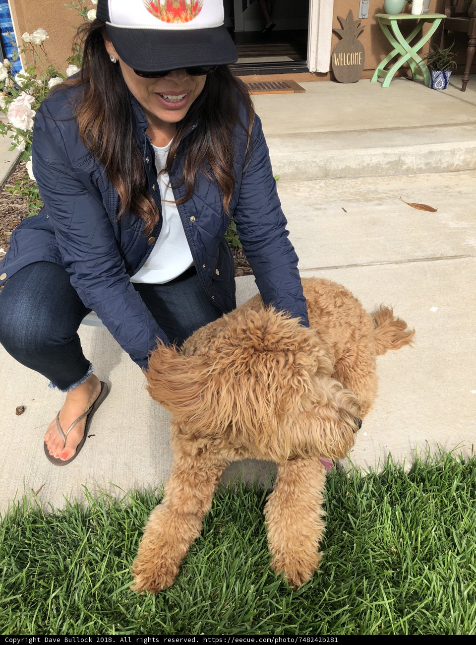 Woman and Dog Enjoy a Sunny Day in the Park