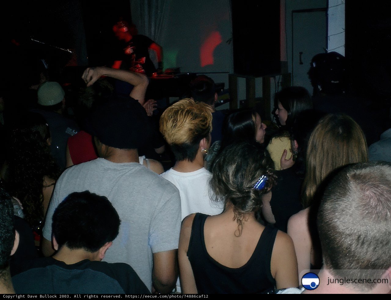 Nightclub Performance