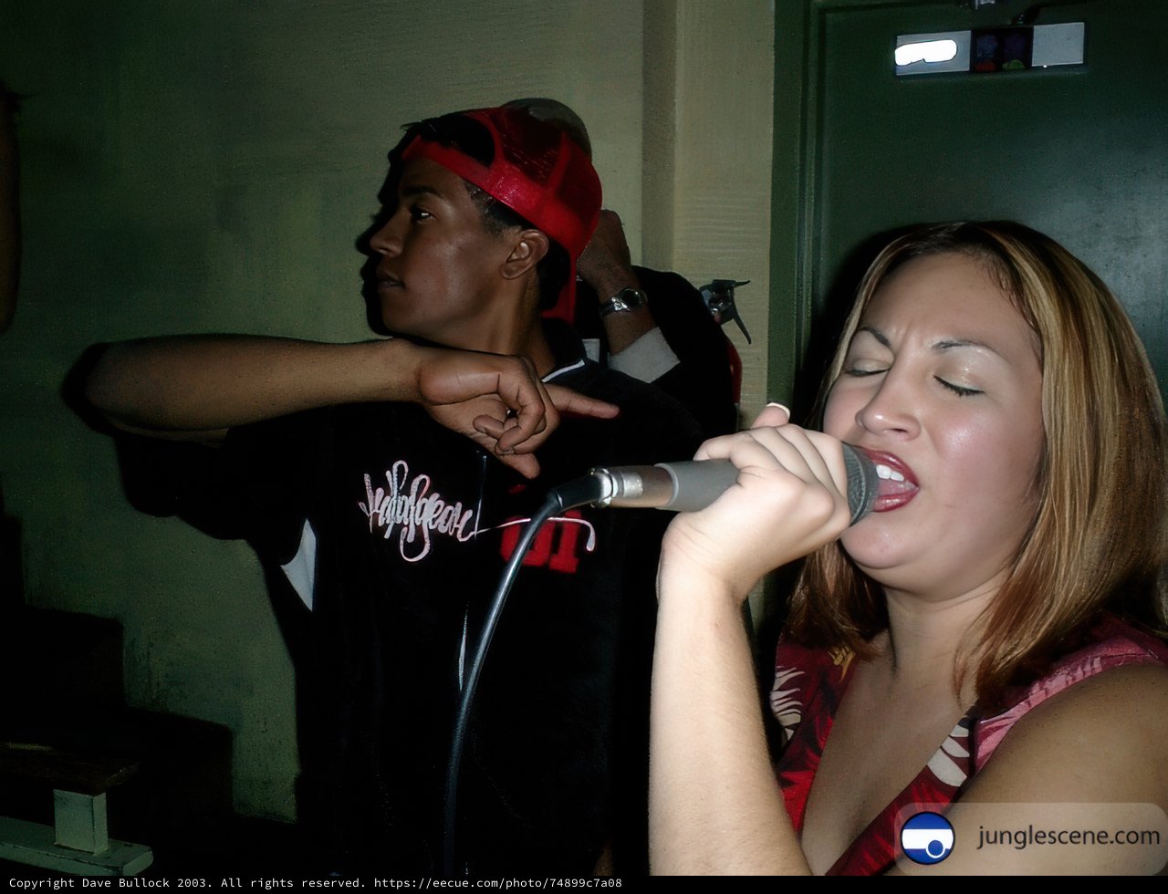 A Night at the Karaoke Club