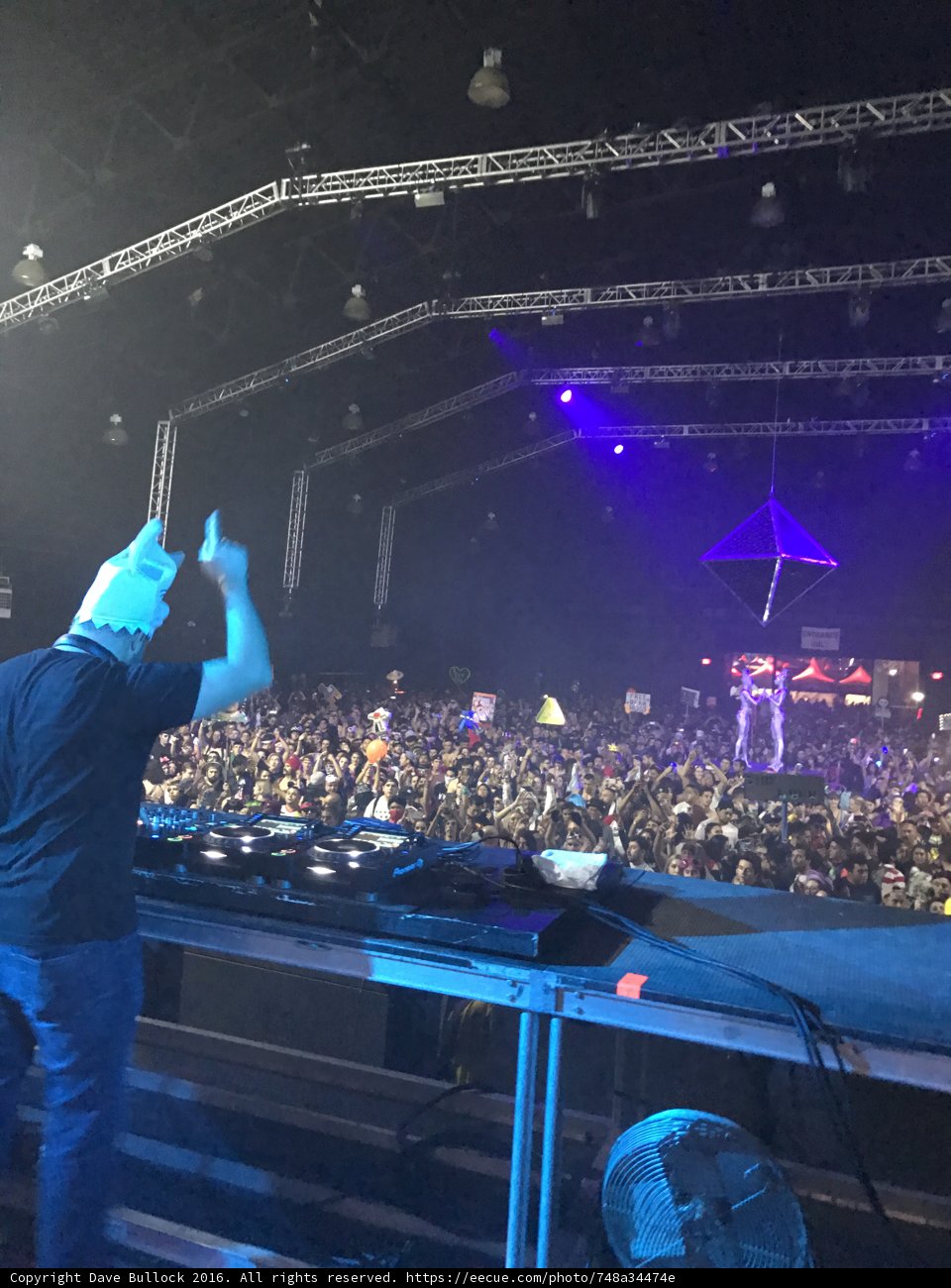 Rockin' the Crowd