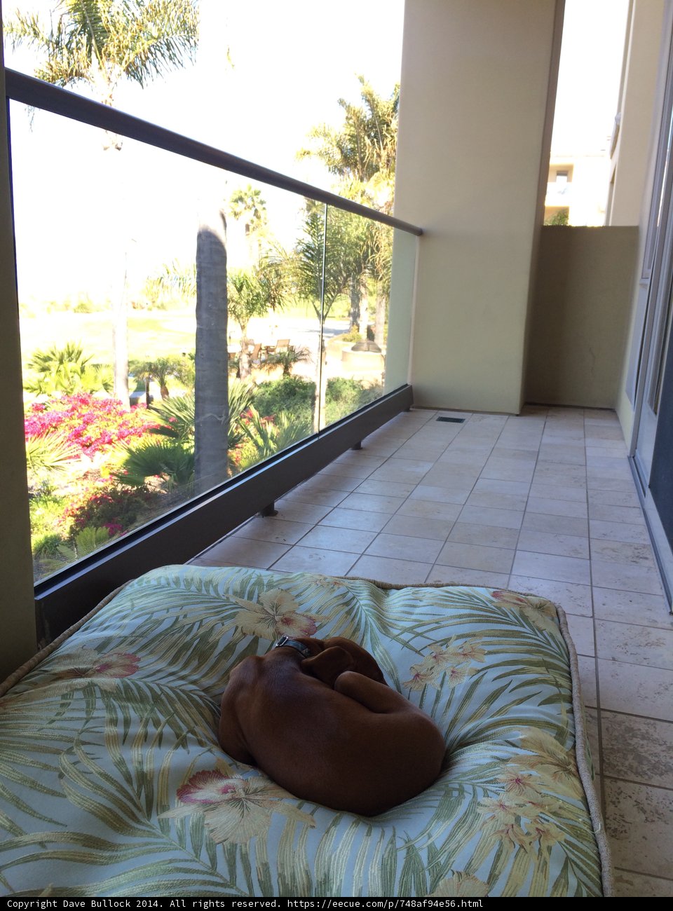 Balcony Bliss