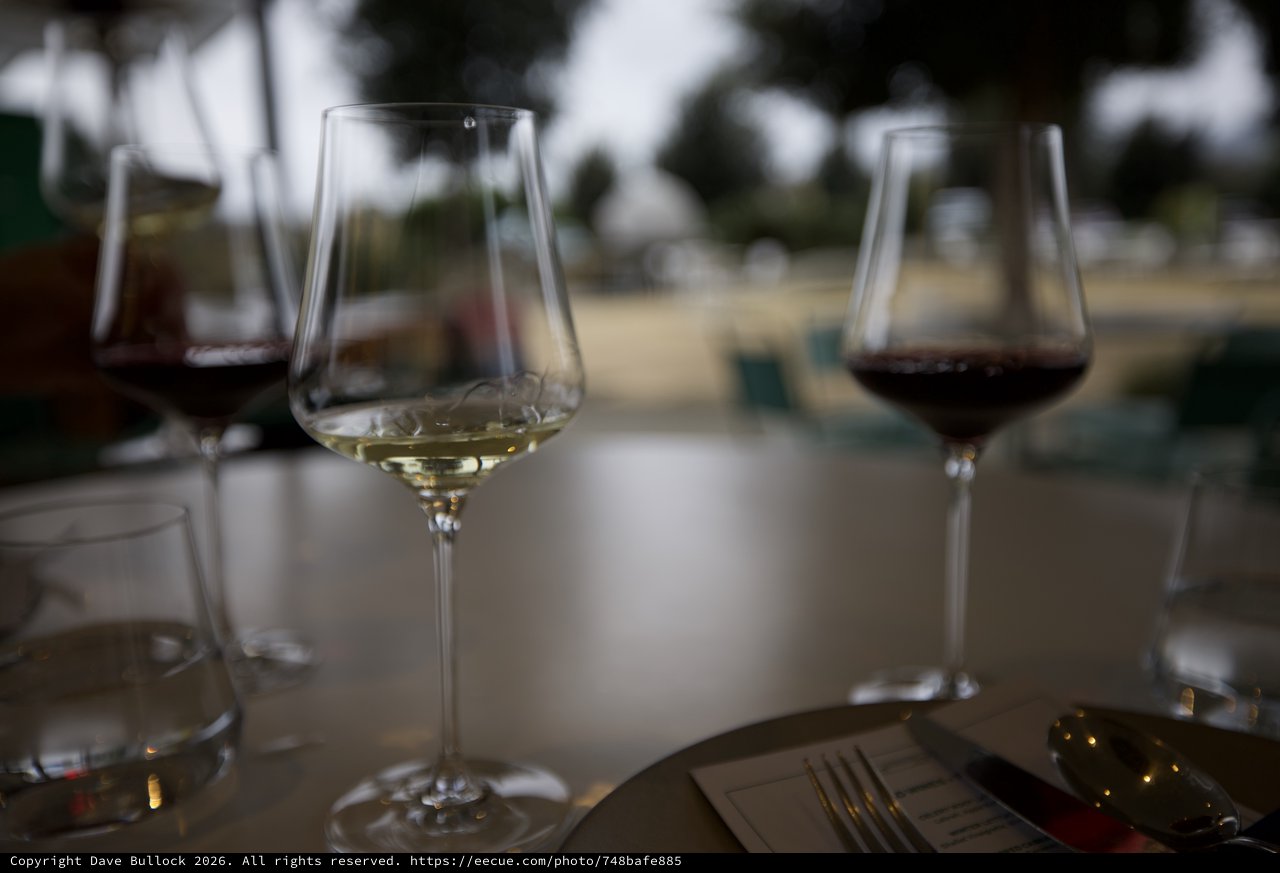 Elegant Wine Tasting with White and Red Varietals