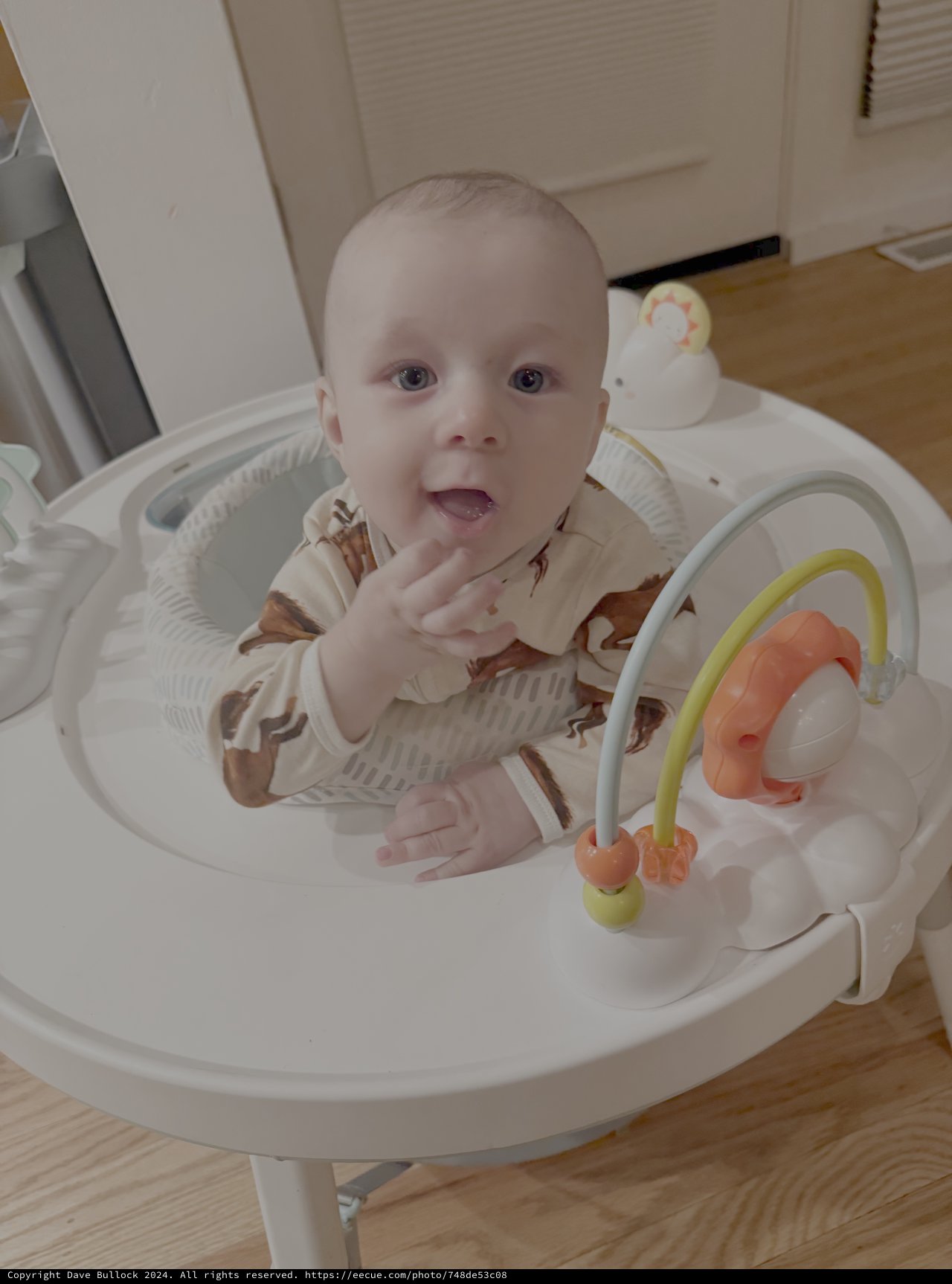 Baby's First Bouncer Adventure