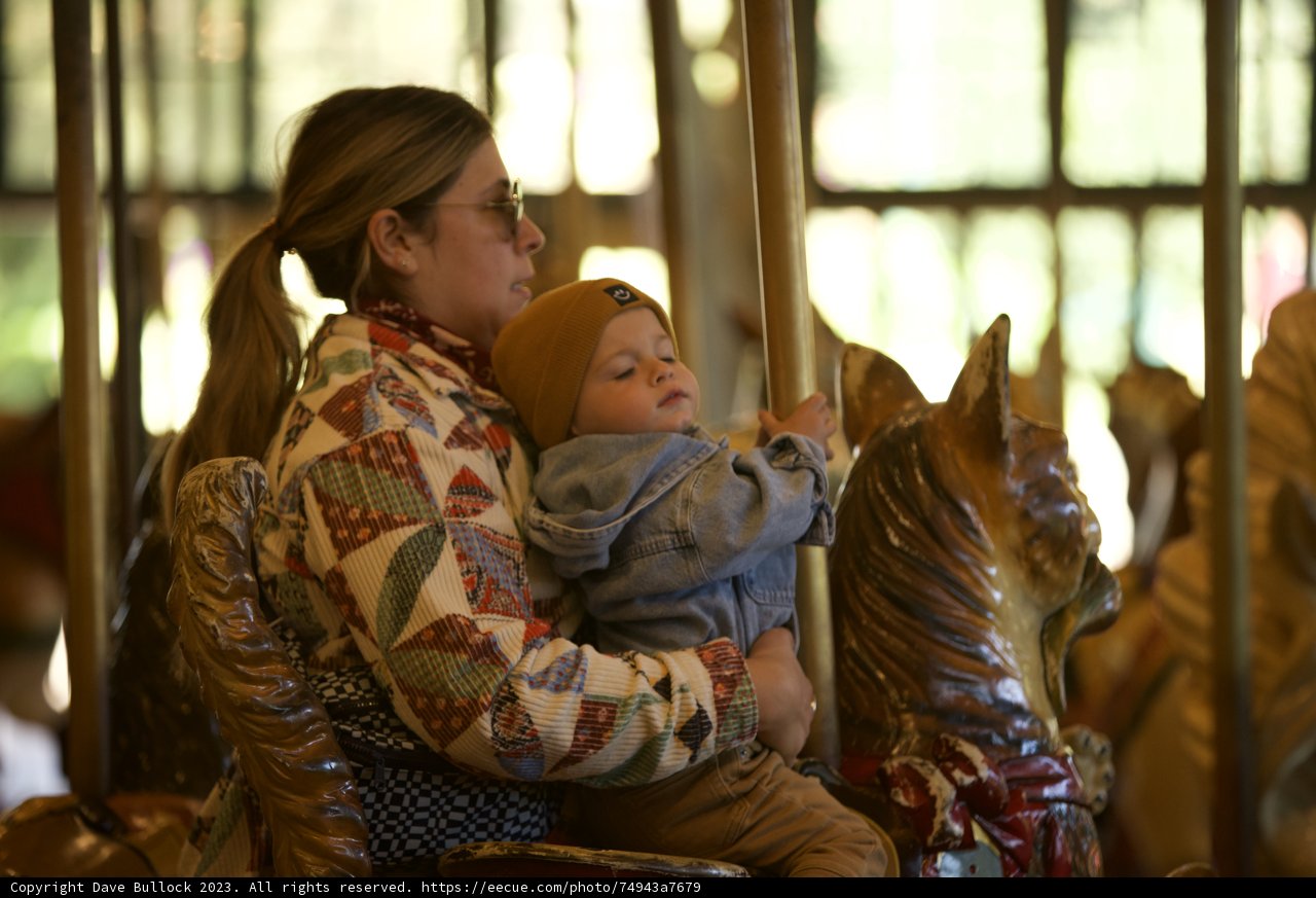 Joyful Carousel Days in November
