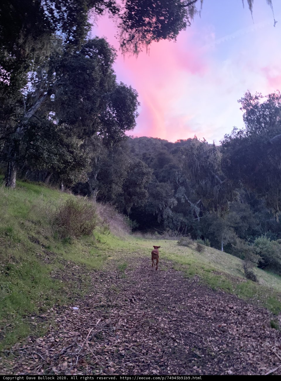 Sunset Stroll