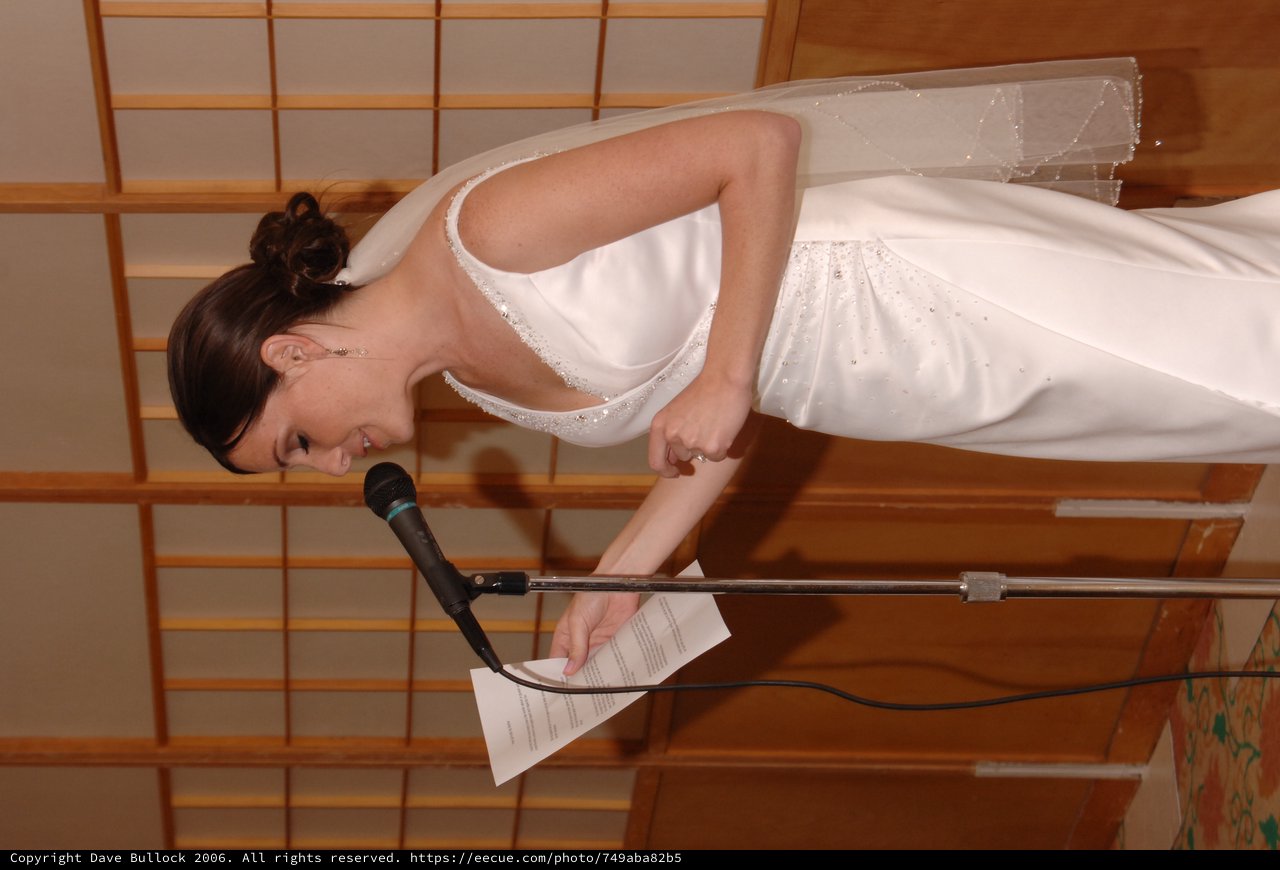 Bride Delivers Heartfelt Speech at Wedding Reception