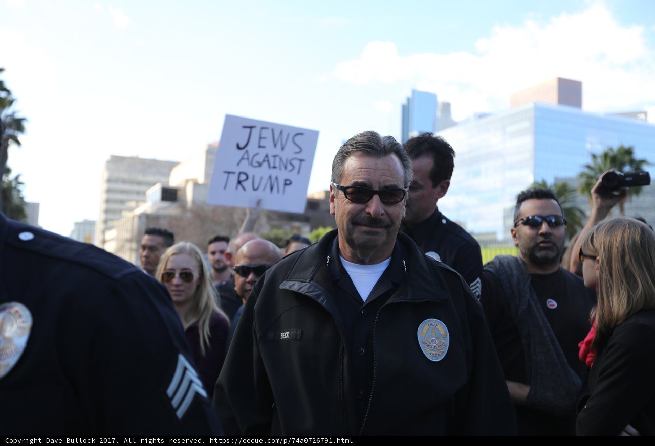 Protest Officer