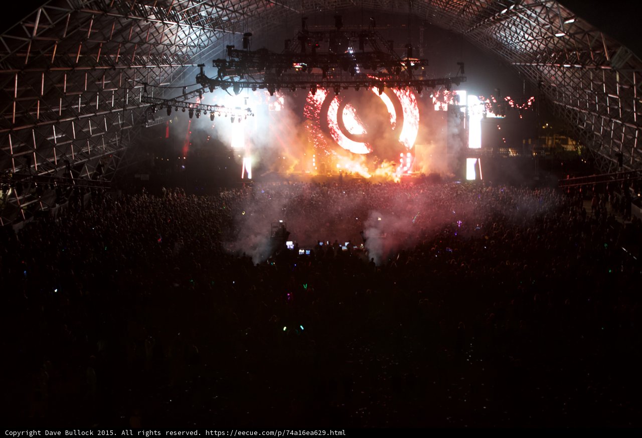 The Crowd Goes Wild