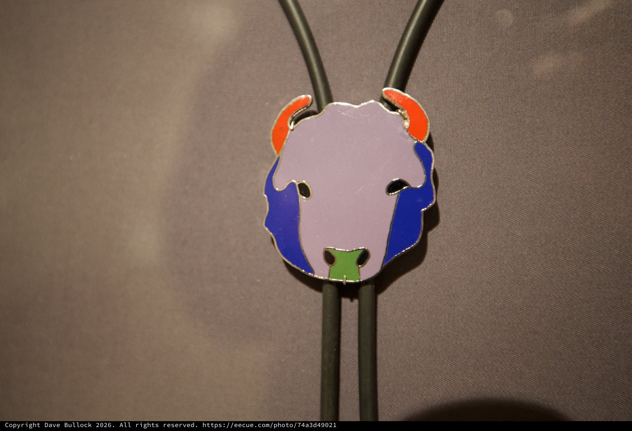 Colorful Enamel Pendant with Metal Bolo Tie Cord