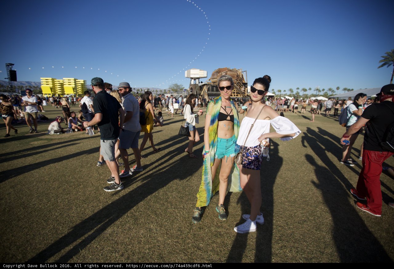 Festival Friends