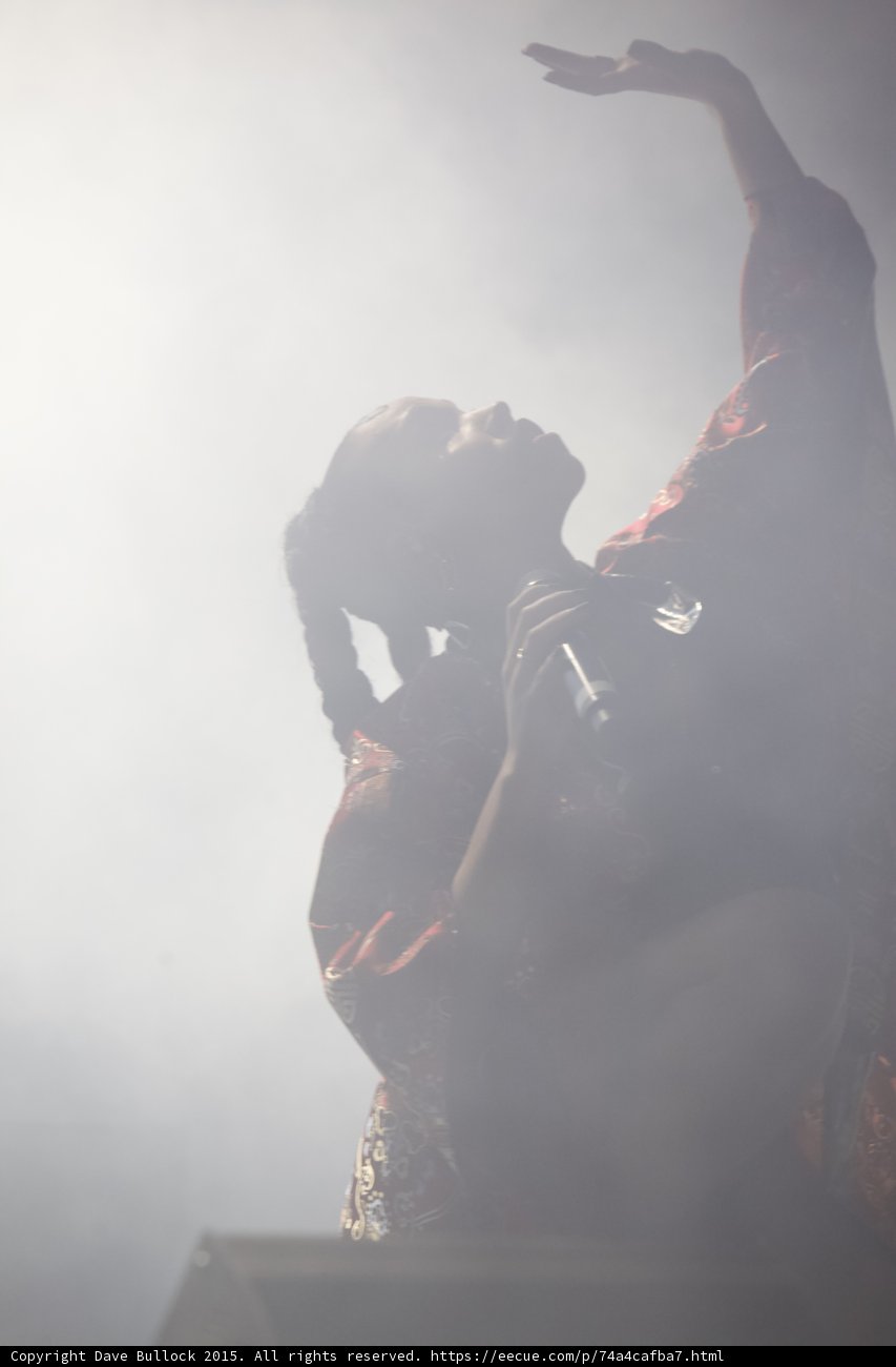 FKA twigs Silhouette Looking Up Arm Raised Elegant Hand Singing Red Brocade Kimono Braided Ponytails Heavy Backlit Haze