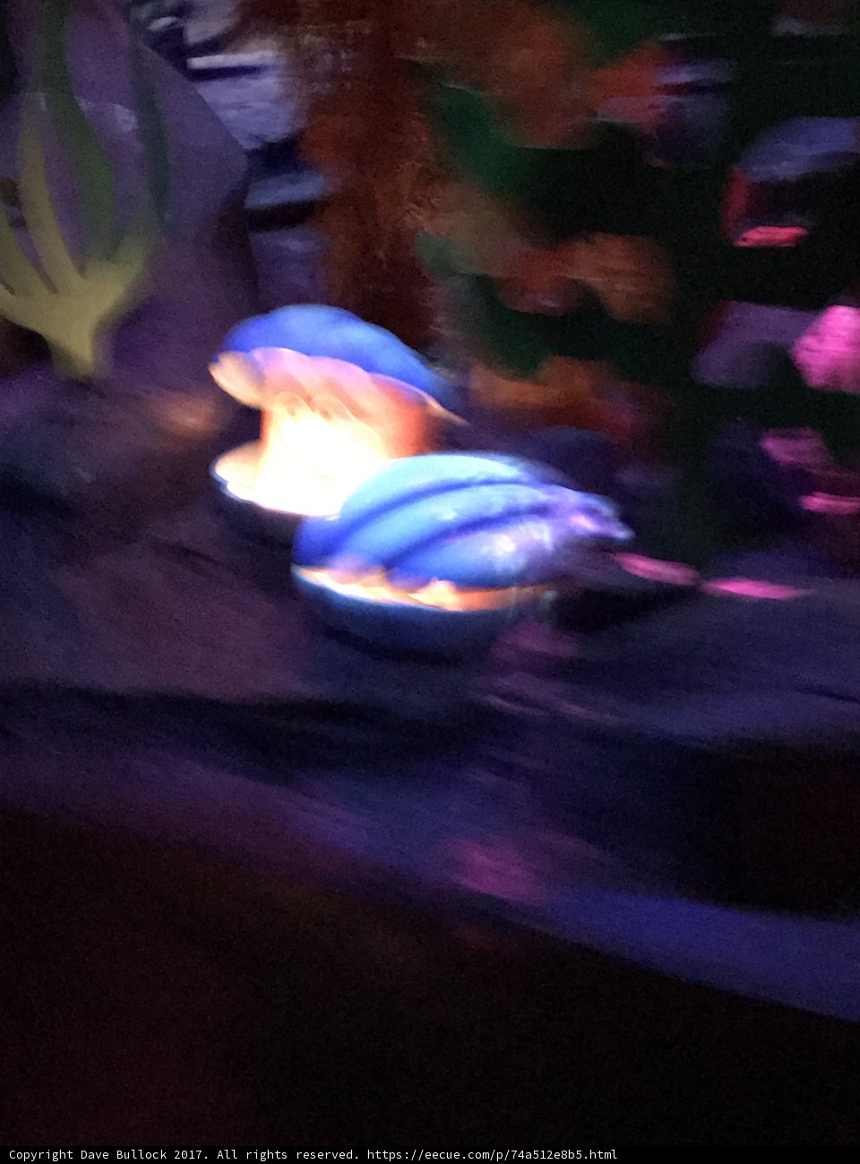 Illuminated Jellyfish