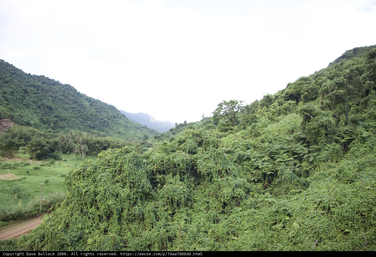 Journey Through the Green Slopes