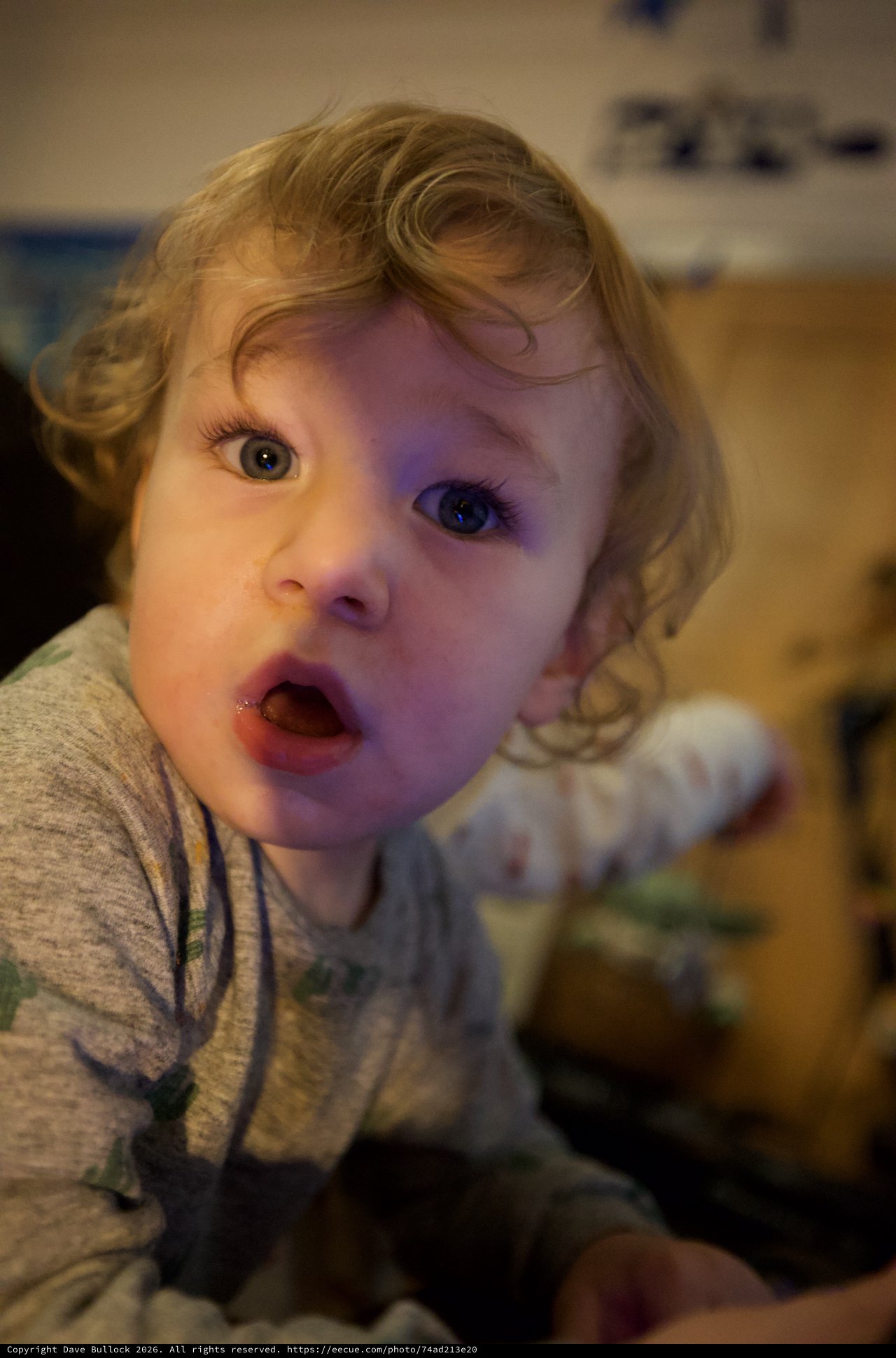 Surprised Toddler with Curly Blonde Hair Looking Up