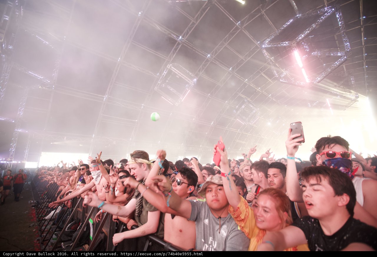 The Ultimate Coachella Crowd Experience