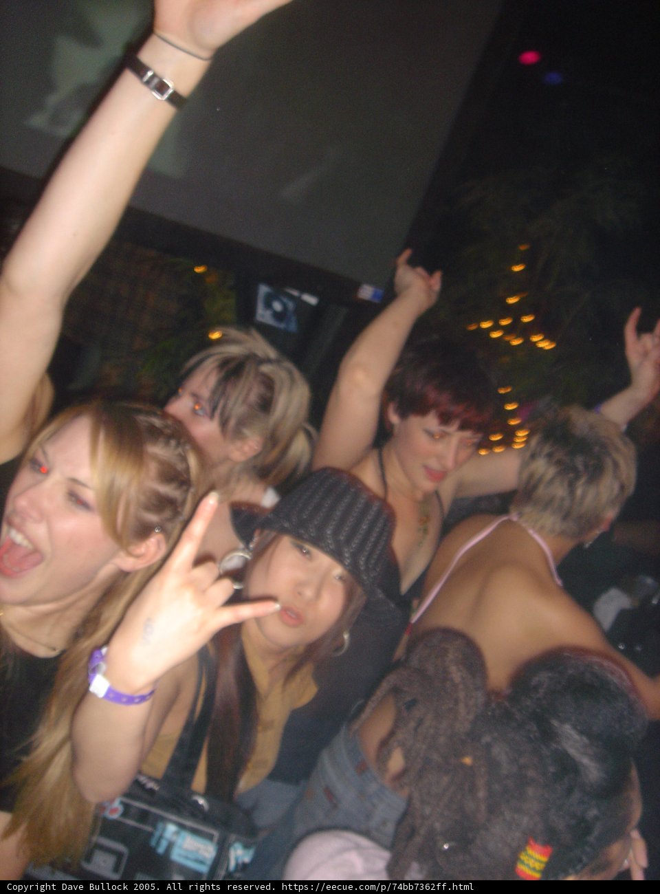 Night Club Fun