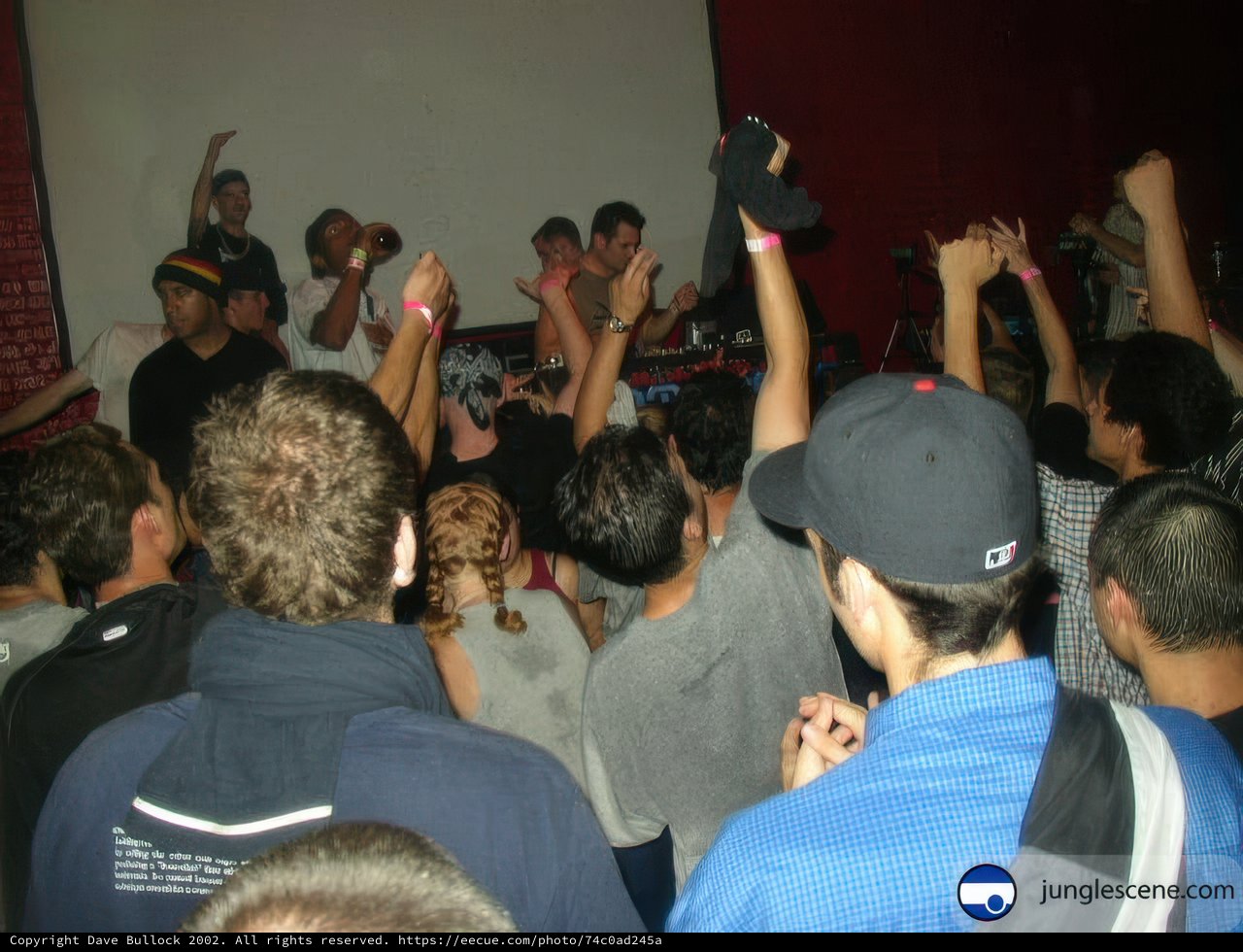 Partygoers Put Their Hands Up