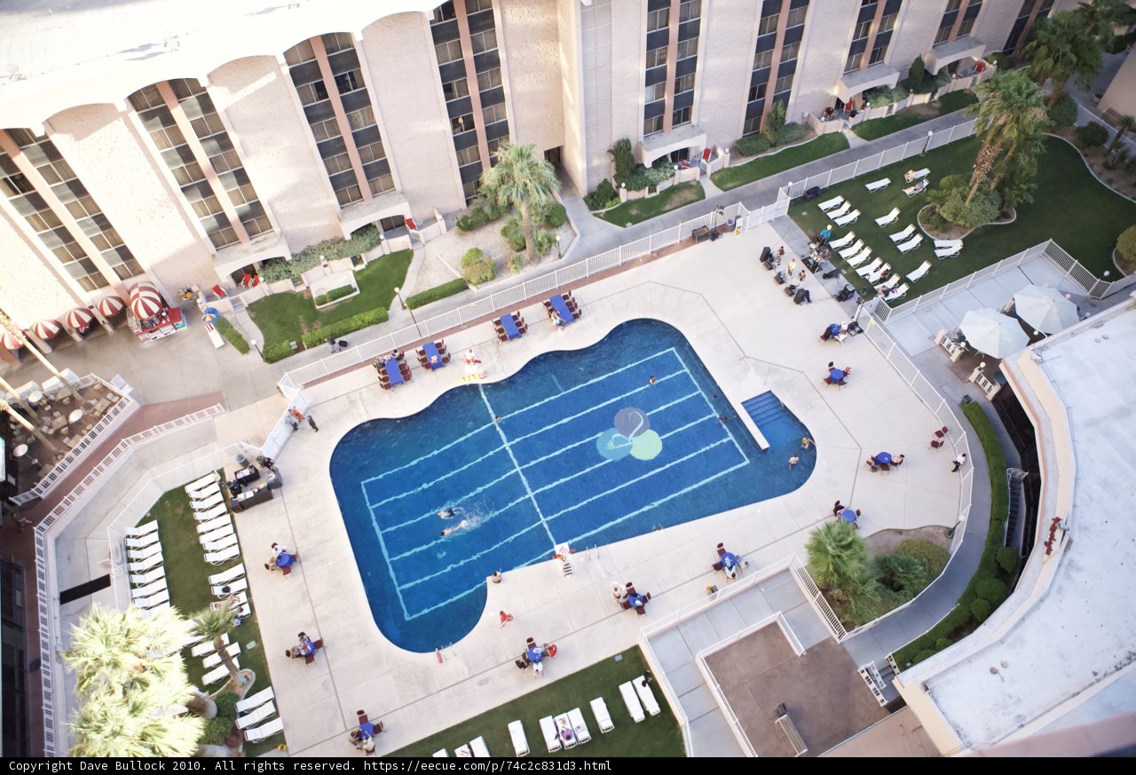 Summer Oasis in the City